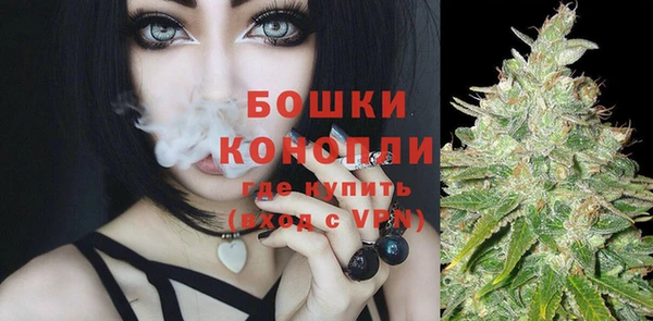 стафф Медногорск