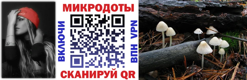 Псилоцибиновые грибы Psilocybe  Купить закладки  Владимир 